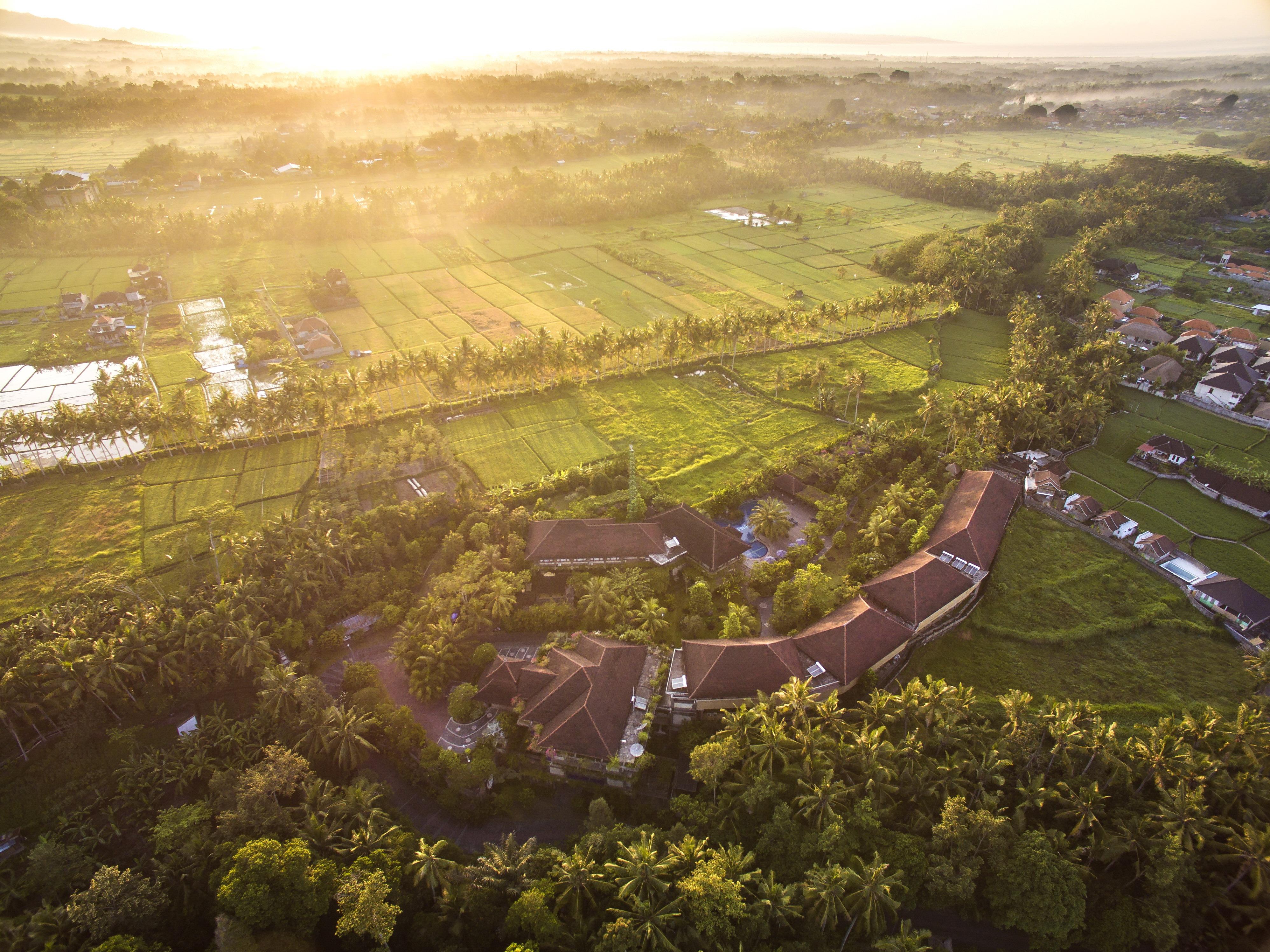 Bhuwana Ubud Hotel And Farming Dış mekan fotoğraf