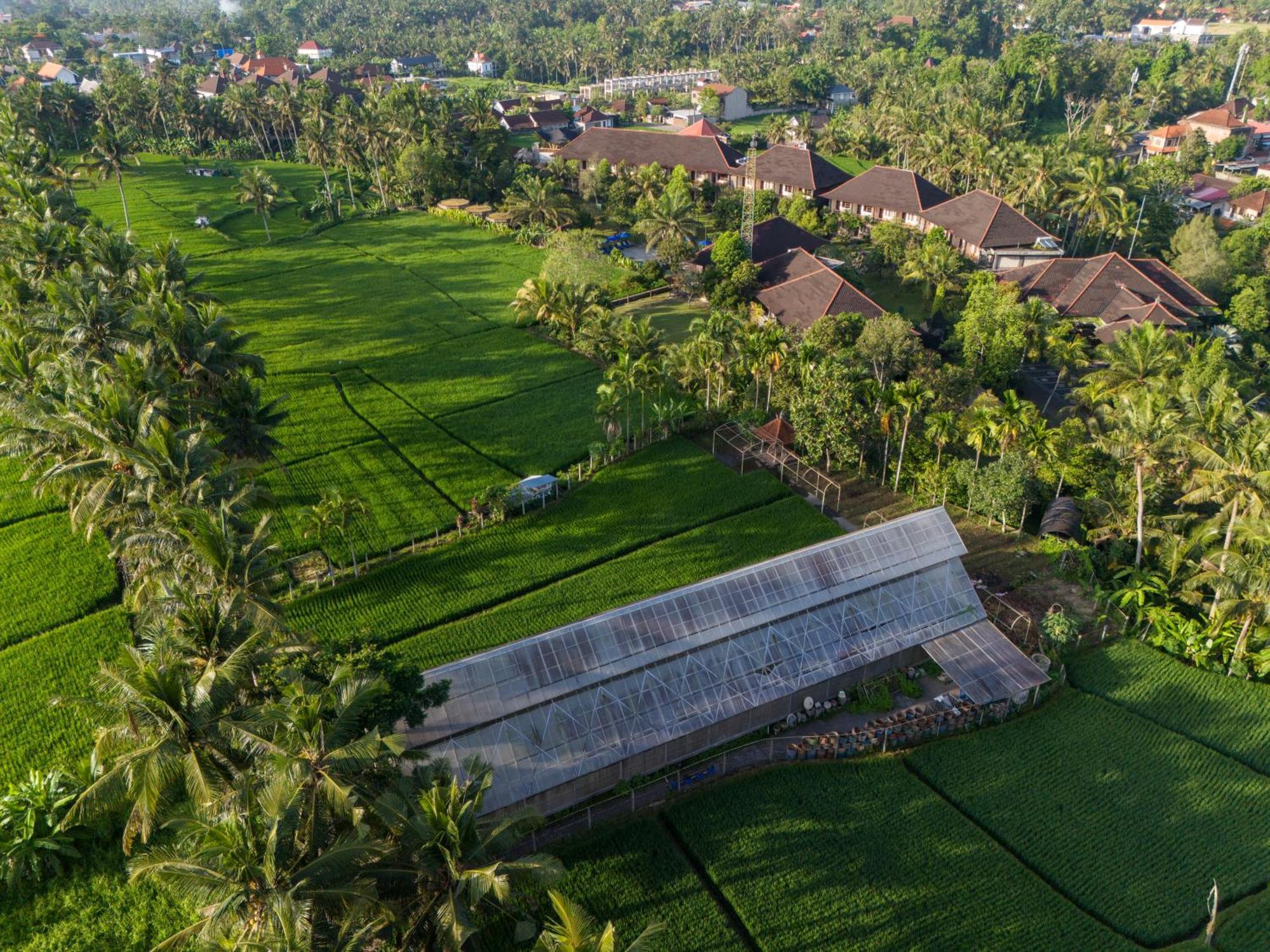 Bhuwana Ubud Hotel And Farming Dış mekan fotoğraf